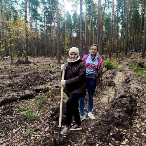 Волонтерлар Лаеш районында 15 мең яшь агач утыртты