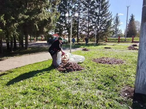 Урта Девятово урамнарында көзге шимбә өмәсе узды