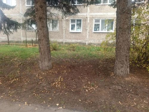 Продолжаем делиться атмосферой городского субботника
