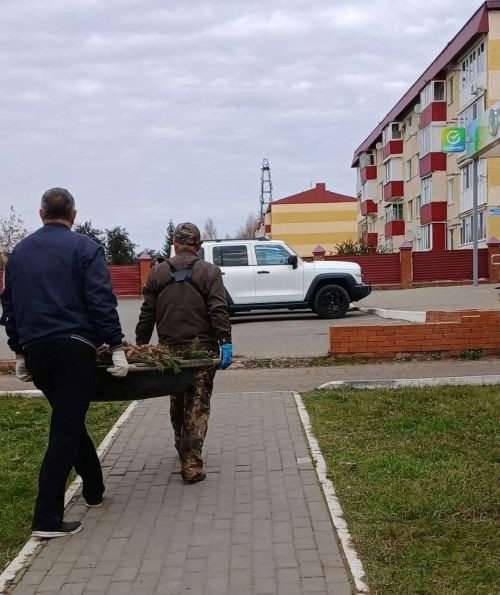 Өмәләр халкыбызның тәртипкә булган мөнәсәбәтен үзгәртә