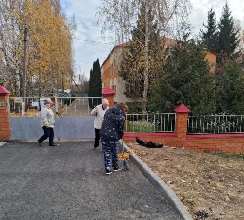 Субботники: традиция из прошлого или реальная польза