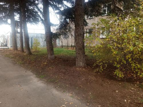 Продолжаем делиться атмосферой городского субботника
