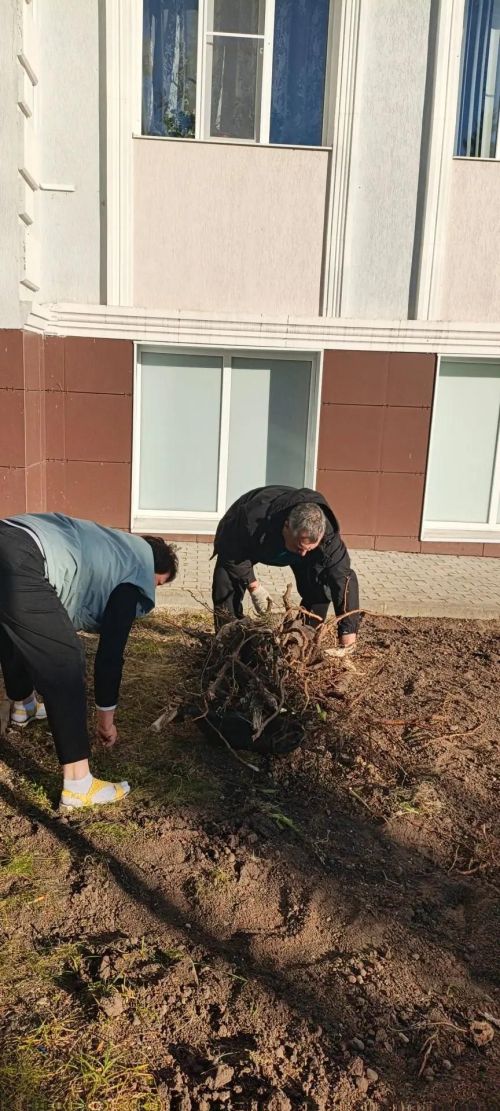 Жители Лаишева вышли на общегородской субботник
