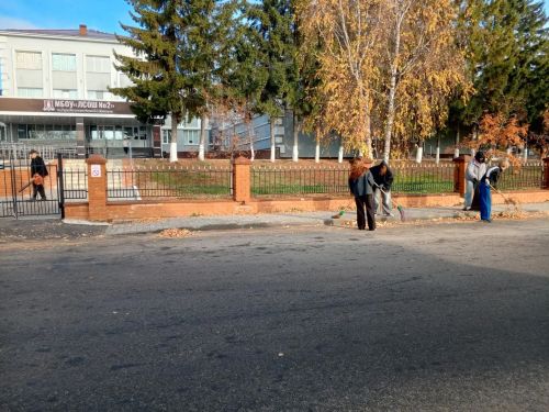 Жители Лаишева вышли на общегородской субботник