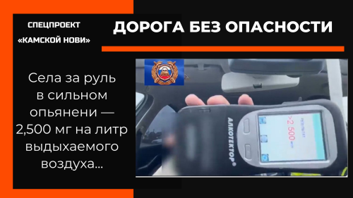 В Лаишевском районе остановили водителя в состоянии сильного опьянения