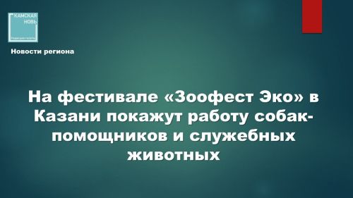 В Казани состоится инклюзивный фестиваль о собаках-героях и ответственном отношении к питомцам