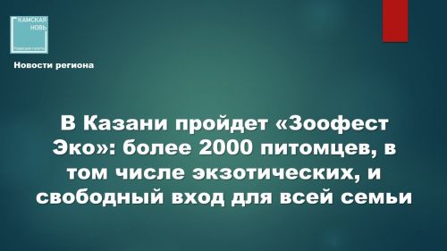 В Казани выберут новый дом для полусотни собак