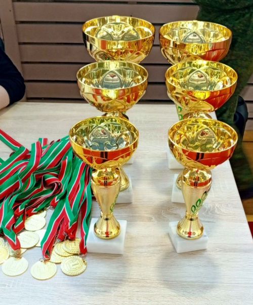 Оружие, гиря, плащ-палатка — в Усадах прошла военно-спортивная игра