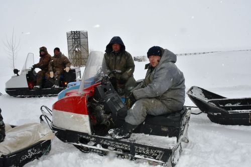 Экологическая акция «Рыбе быть»: как помочь рыбе перезимовать