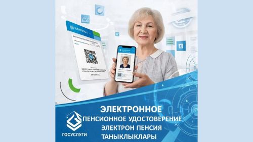 Инновационная система облегчает жизнь пенсионерам Татарстана
