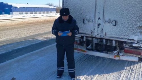 В Татарстане ведется контроль по ввозу и вывозу животных и продукции животного происхождения