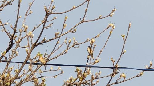 В Лаишевском районе продолжает теплеть
