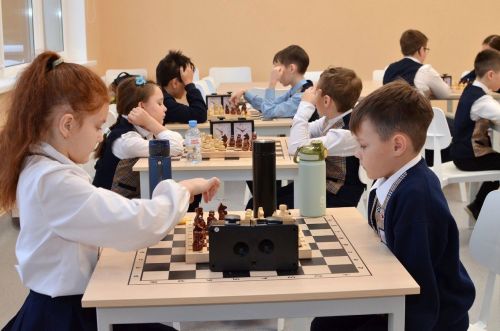 Шахматисты Лаишевского района готовятся к турниру на кубок «Камской нови»