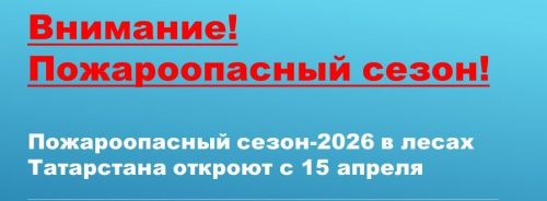 В Татарстане пожароопасный сезон в лесах стартует 15 апреля
