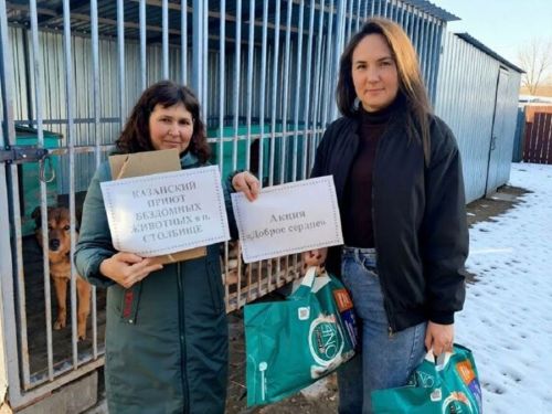Тәтеш районыннан Лаешка: хайваннарга мәхәббәт берләштерә