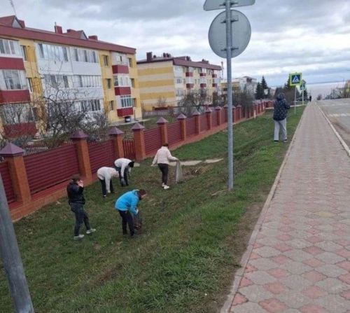 Лаешта май бәйрәмнәренә кадәр тәртип урнаштыралар
