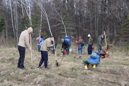 В Лаишевском районе высадили «Сад памяти»