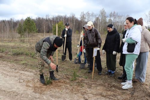 В Лаишевском районе высадили «Сад памяти»