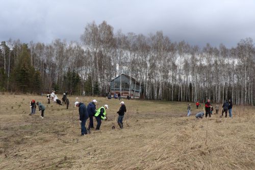 В Лаишевском районе высадили «Сад памяти»