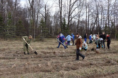 В Лаишевском районе высадили «Сад памяти»