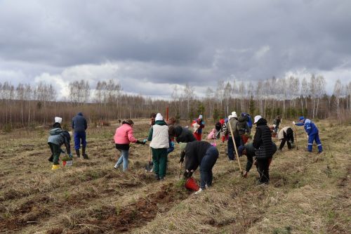 В Лаишевском районе высадили «Сад памяти»