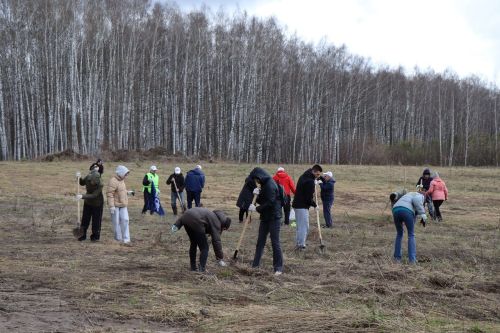 В Лаишевском районе высадили «Сад памяти»