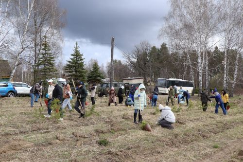 В Лаишевском районе высадили «Сад памяти»