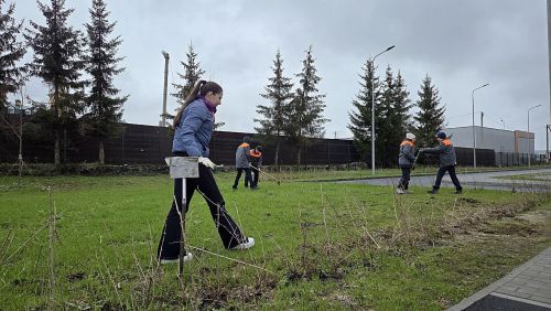 Лицеисты Лаишевского района приняли участие в акции «Зеленая весна»