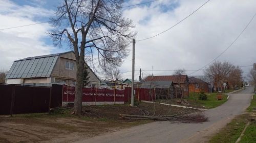 Штормовой ветер ломает деревья в Лаишево