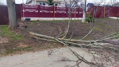 Штормовой ветер ломает деревья в Лаишево