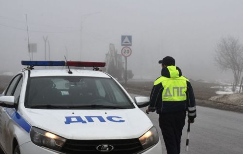 Профилактика ДТП с детьми: вручение памяток малышам и взрослым