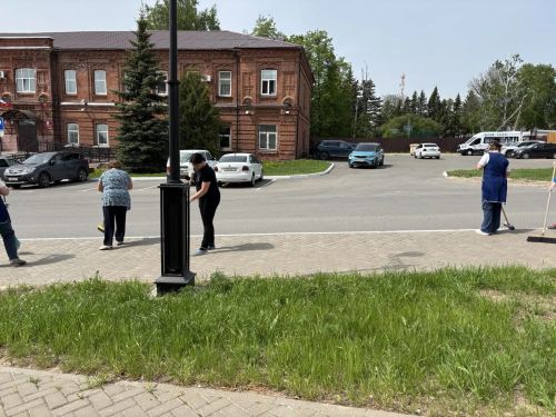 Сотрудники Лаишевской центральной библиотеки провели субботник