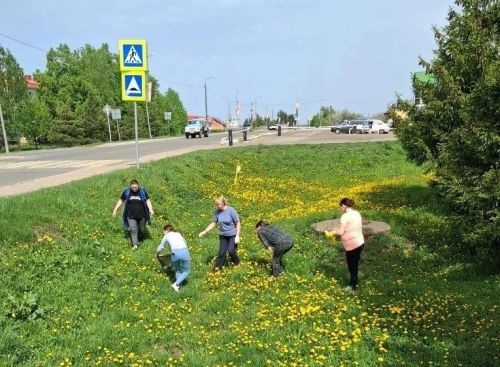 Субботники в детских садах Лаишева