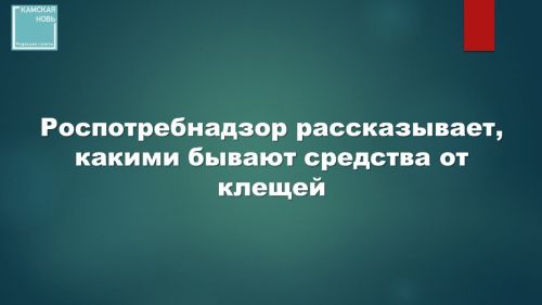 Роспотребнадзор рассказывает, какими бывают средства от клещей