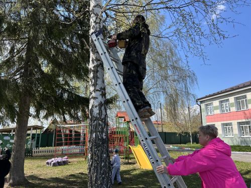 В детском саду «Берёзка» прошла экологическая акция: подготовительная группа вместе с родителями повесила скворечники