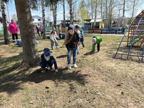 В детском саду «Берёзка» эколята установили кормушки
