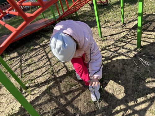 В детском саду «Берёзка» эколята установили кормушки