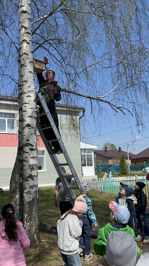 В детском саду «Берёзка» прошла экологическая акция: подготовительная группа вместе с родителями повесила скворечники