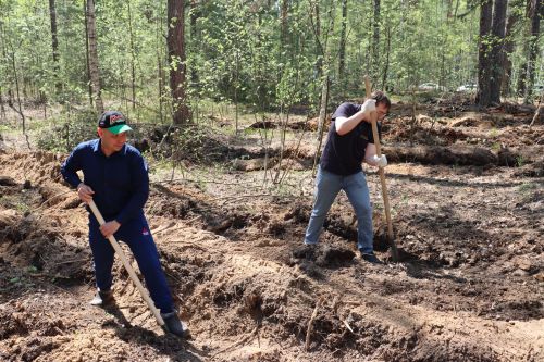 В Татарстане высадили более 1000 елей в рамках акции «Сад памяти»