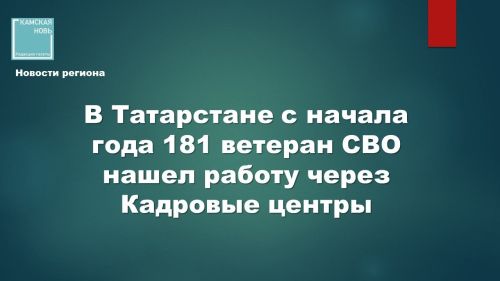 В Татарстане с начала года 181 ветеран СВО нашел работу через Кадровые центры