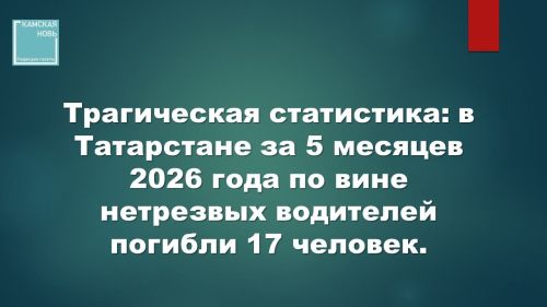 Цена одной рюмки: 17 погибших за 5 месяцев