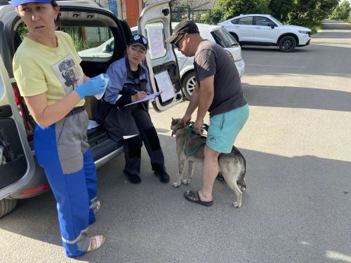 В Лаишевском районе продолжаются вакцинация и чипирование животных
