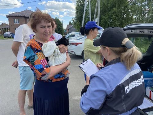 В Лаишевском районе продолжаются вакцинация и чипирование животных