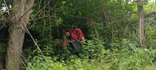 Экологическая акция в селе Большие Кабаны: сохраним природу вместе!