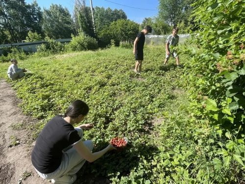 Лагерь «Юность»: незабываемое лето в Лаишевском районе