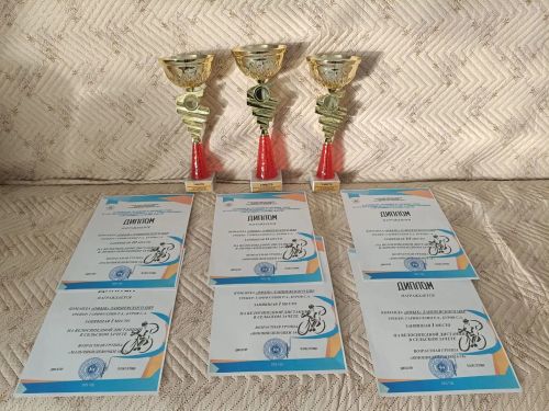 Спортсменам Лаишевского района нет равных на Туриаде