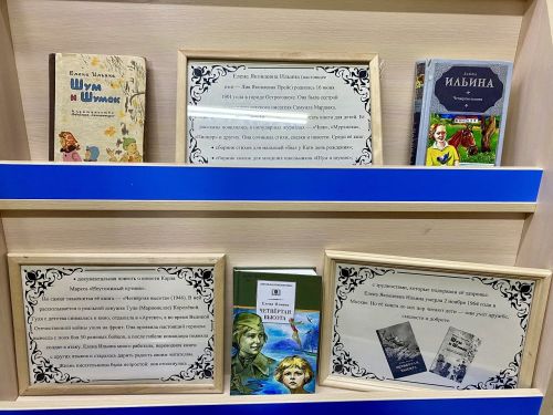 Книжную выставку «Дорога к подвигу» в Лаишевской библиотеке посвятили юбилею Елены Ильиной