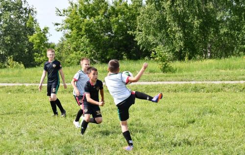 Лаишевский Сабантуй: увлекательные спортивные соревнования