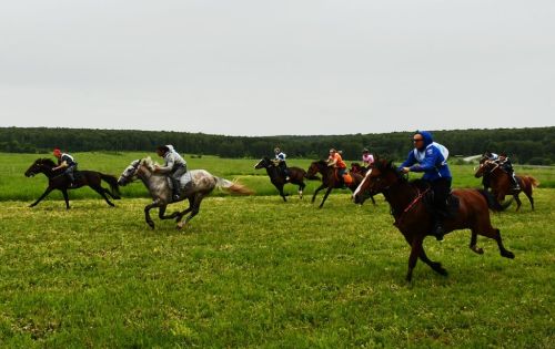 Лаишевский Сабантуй: яркие эмоции от конных скачек