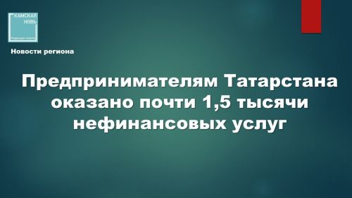 Малый и средний бизнес Татарстана получил более 1400 нефинансовых услуг поддержки в I квартале